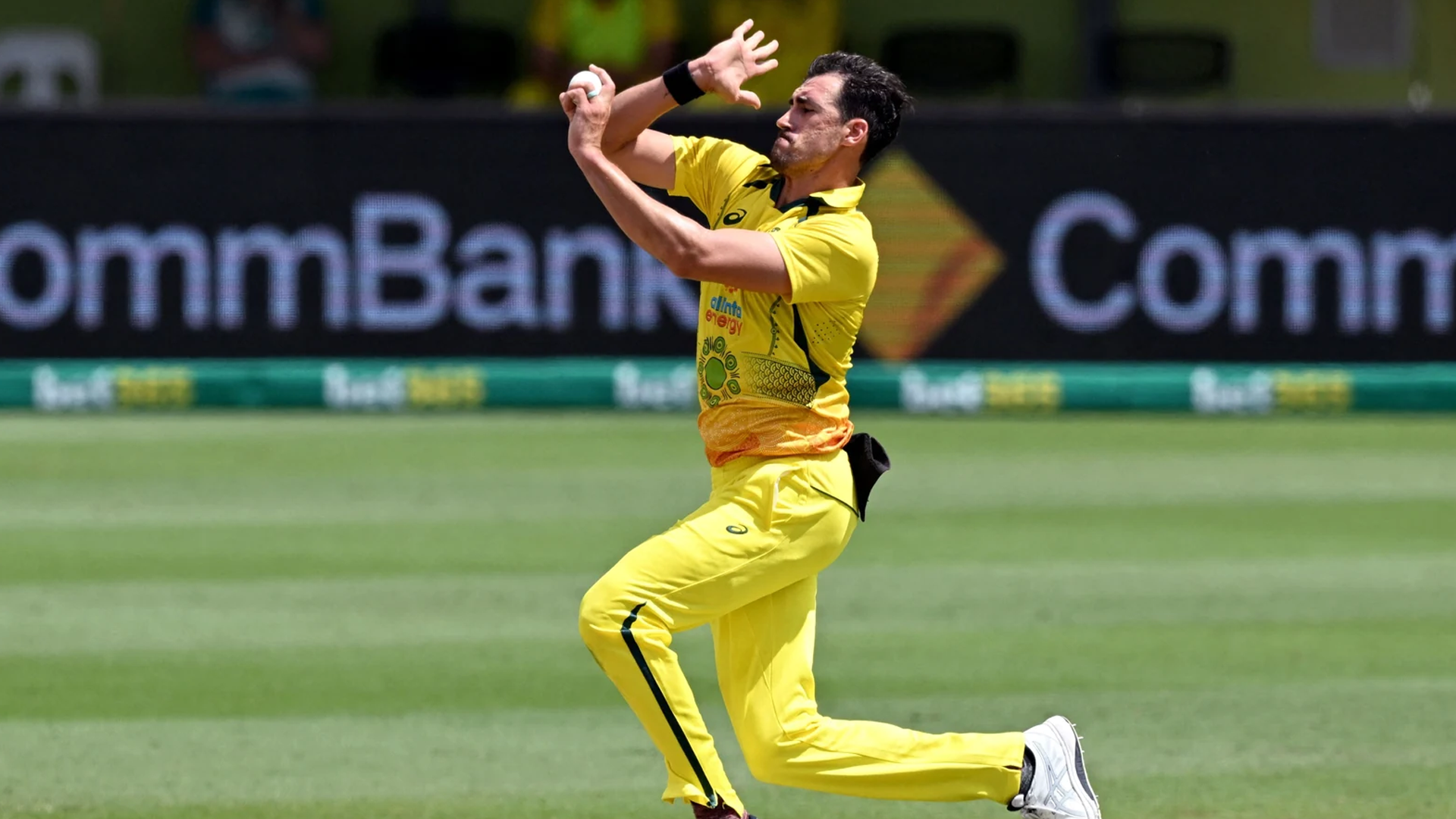 Record Alert: Mitchell Starc Equals The Massive Record Of Shahid Afridi, Brett Lee; Stands Behind Only Waqar Younis and Murlitharan