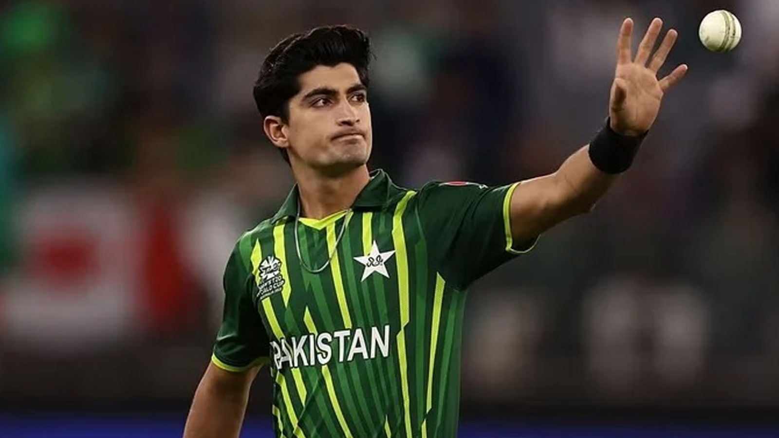 Ex-Pakistani Cricketer Strongly Criticized Pakistan’s Medical Team